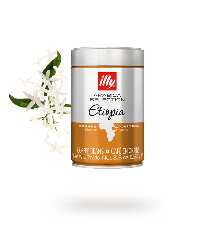 دانه قهوه ایلی اتیوپی 250 گرمی - illy Etiopia Bean Coffee